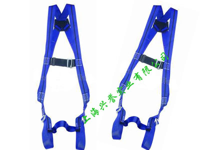 斯博瑞安（巴固）單掛點標(biāo)準(zhǔn)型全身式安全帶/1011890