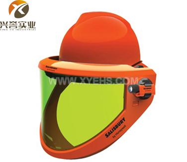 美國SALISBURY AS1200HAT平衡型防電弧面屏